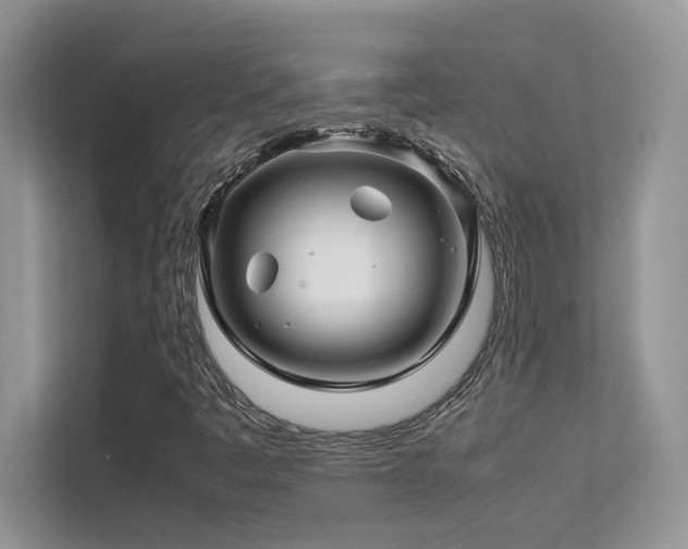 X0000112171445200908071149