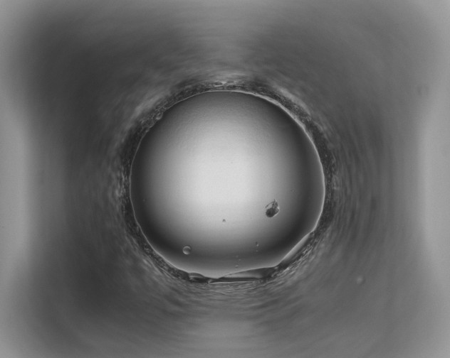 X0000112171447200908071149