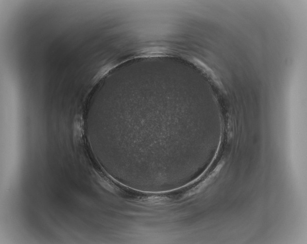 X0000112171449200908071149