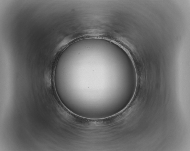 X0000112171451200908071148