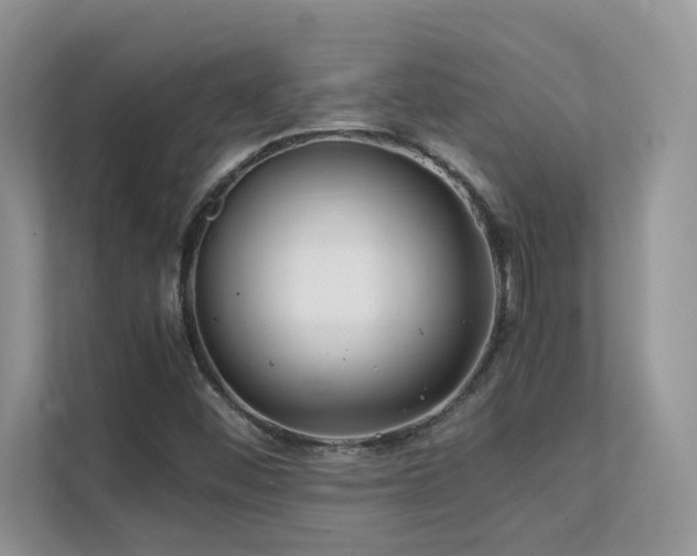 X0000112171452200908071148