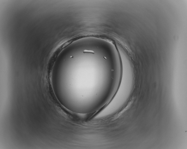 X0000112171453200908071148