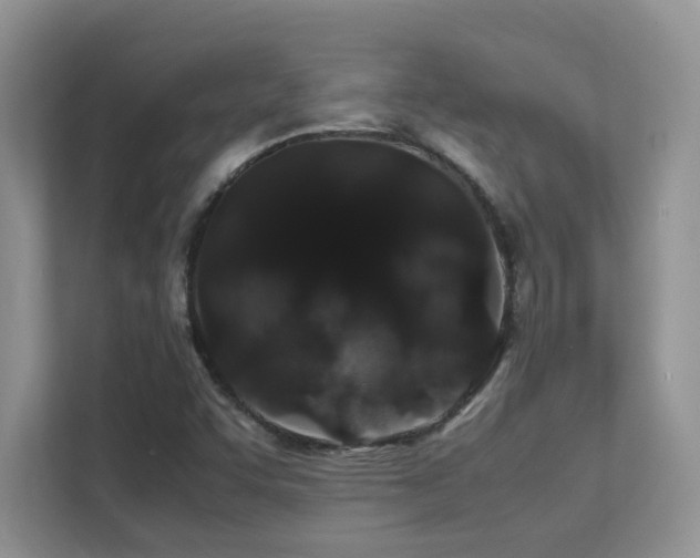 X0000112171455200908071148