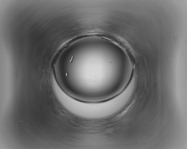 X0000112171457200908071148