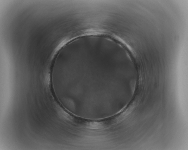 X0000112171459200908071148