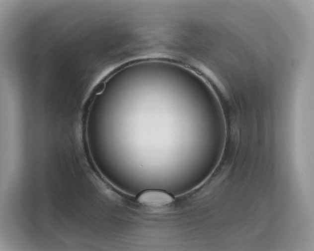 X0000112171460200908071148