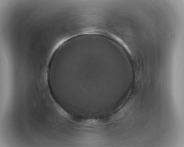 X0000112171463200908071148