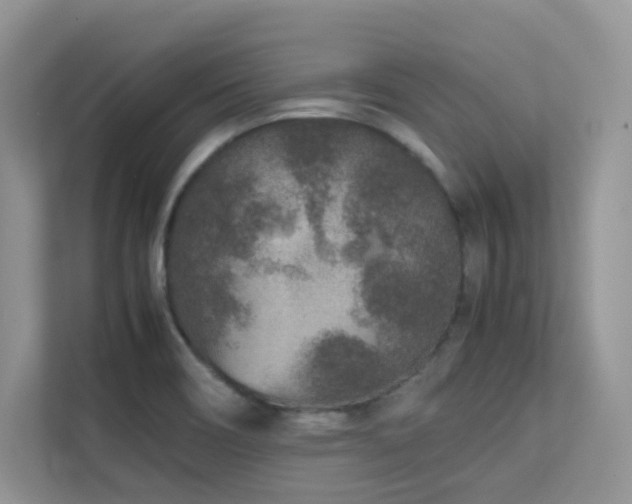 X0000112171466200908071148