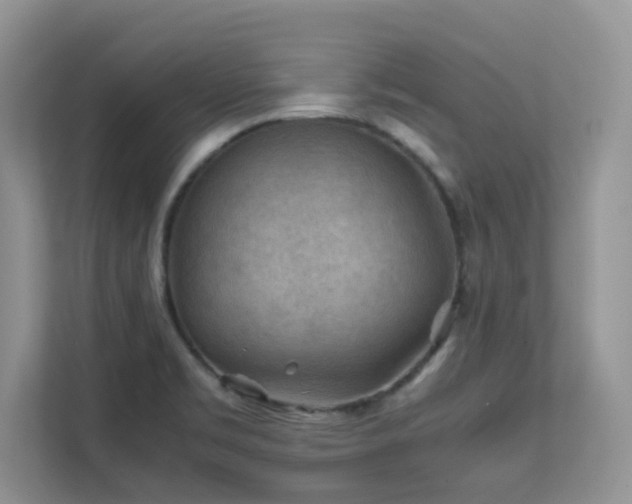 X0000112171469200908071148