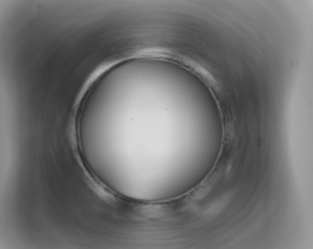 X0000112171470200908071148