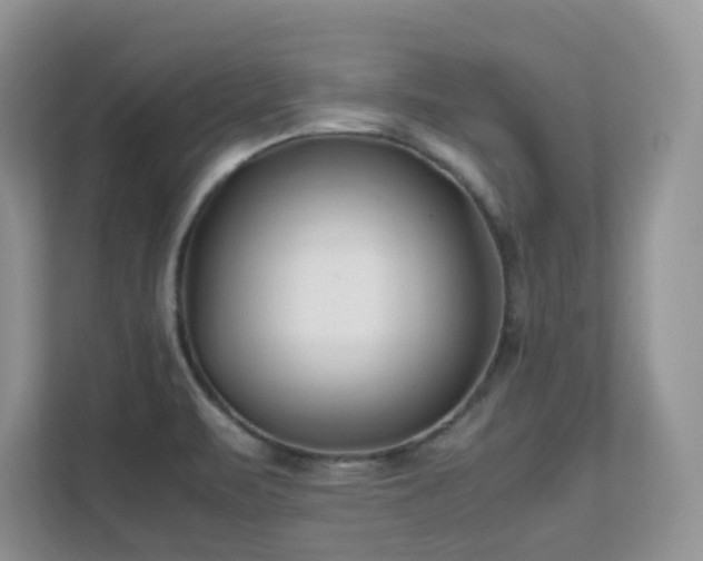 X0000112171471200908071148