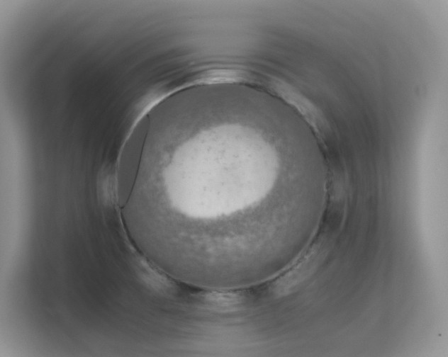 X0000112171473200908071148