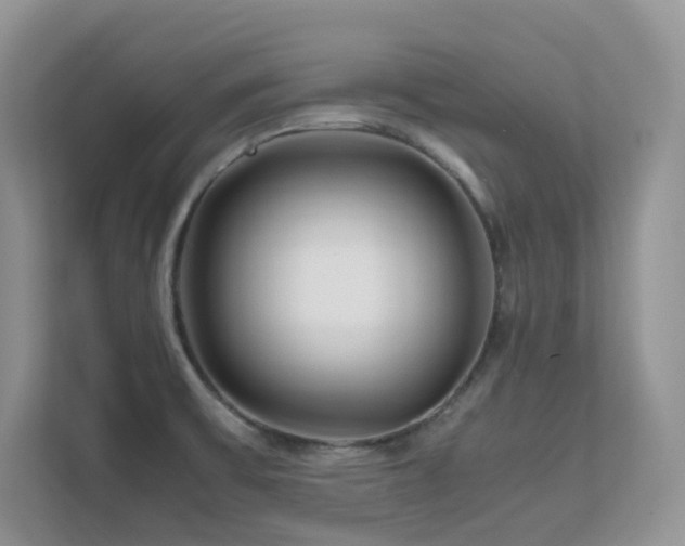 X0000112171475200908071148