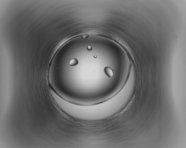 X0000112171481200908071148