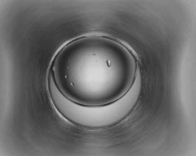 X0000112171484200908071148