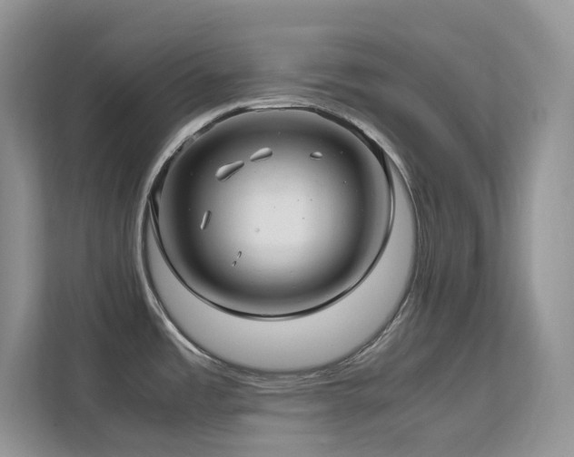 X0000112171485200908071148