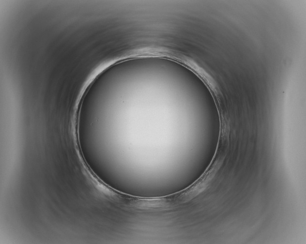 X0000112171486200908071148