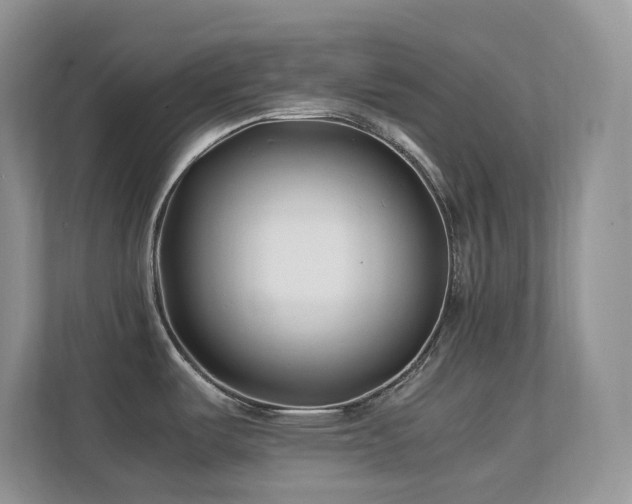 X0000112171487200908071148