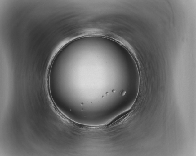 X0000112171488200908071148