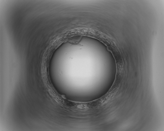 X0000112171489200908071147