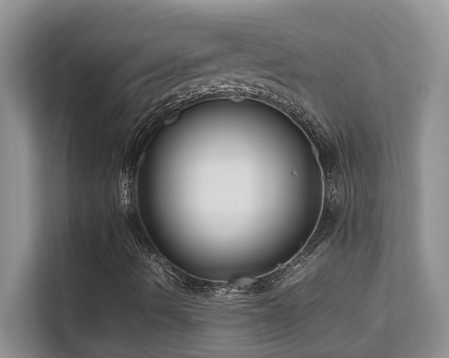 X0000112171490200908071147