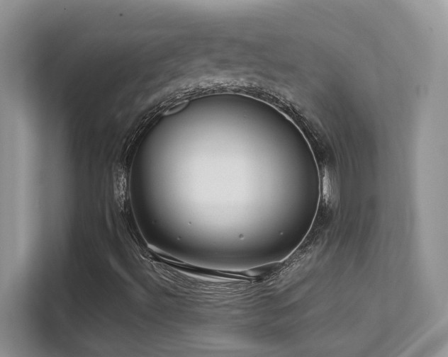 X0000112171492200908071147