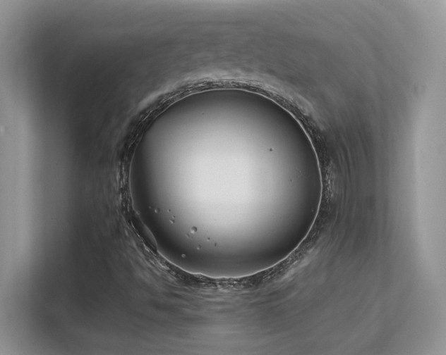 X0000112171494200908071147