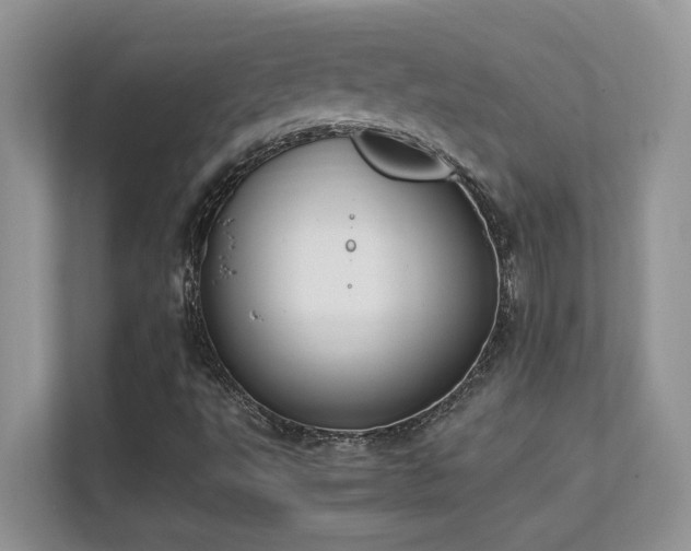 X0000112171495200908071147