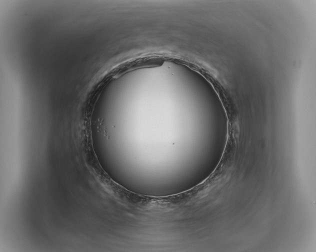 X0000112171496200908071147