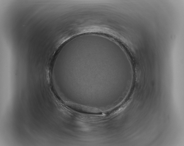 X0000112171497200908071147