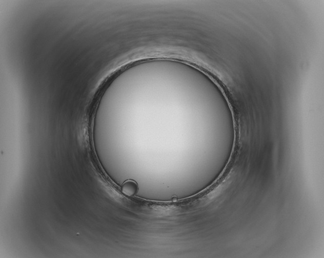 X0000112171498200908071147