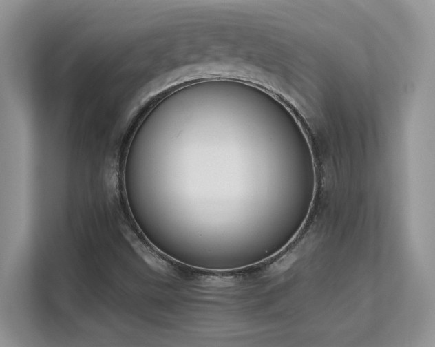 X0000112171499200908071148