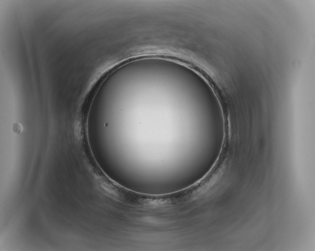 X0000112171501200908071148