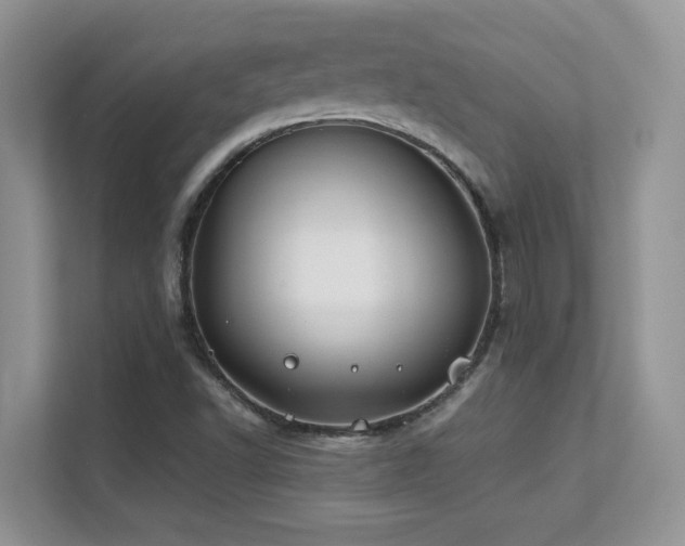 X0000112171502200908071148