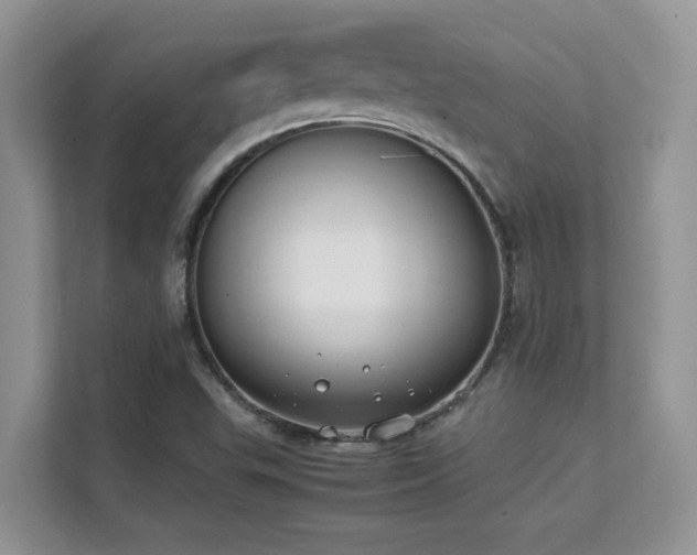 X0000112171503200908071148