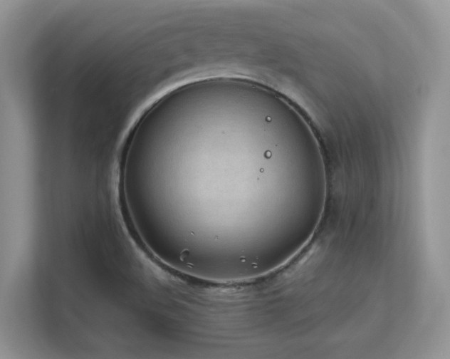 X0000112171508200908071148