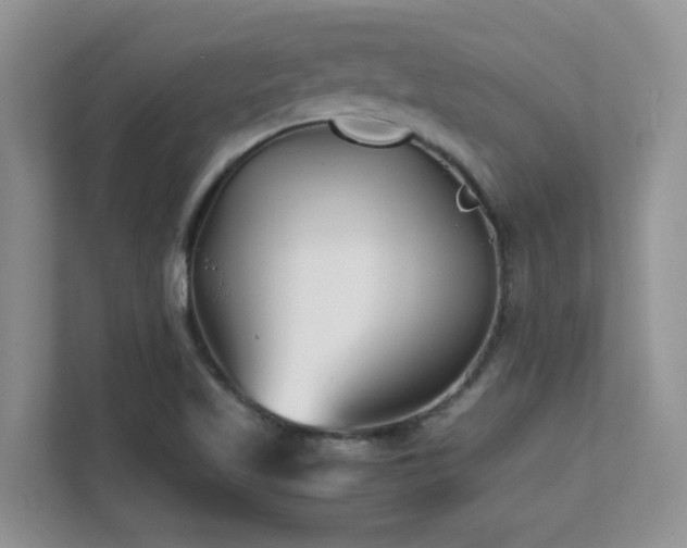 X0000112171509200908071148