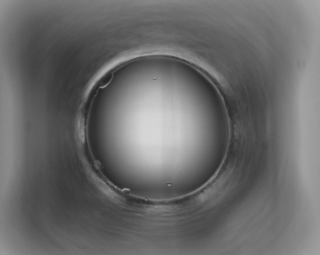 X0000112171510200908071148