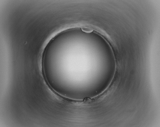 X0000112171512200908071148