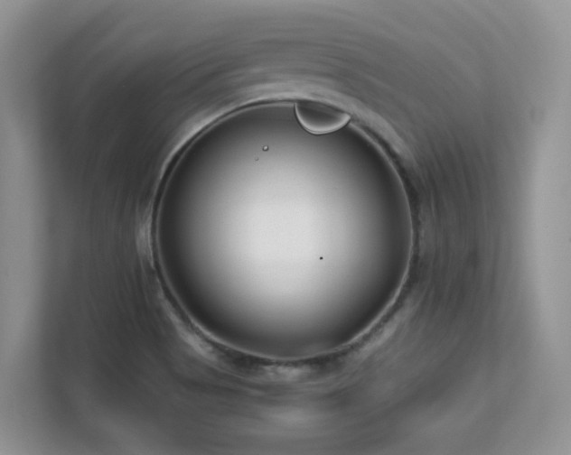 X0000112171513200908071148