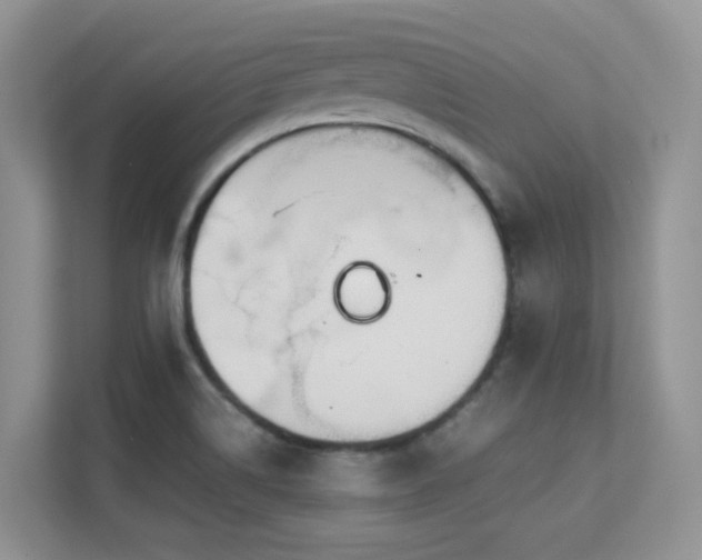 X0000112171514200908071148