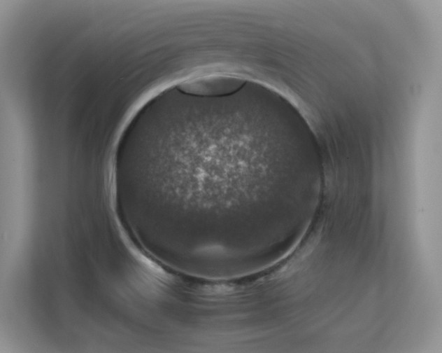 X0000112171515200908071148