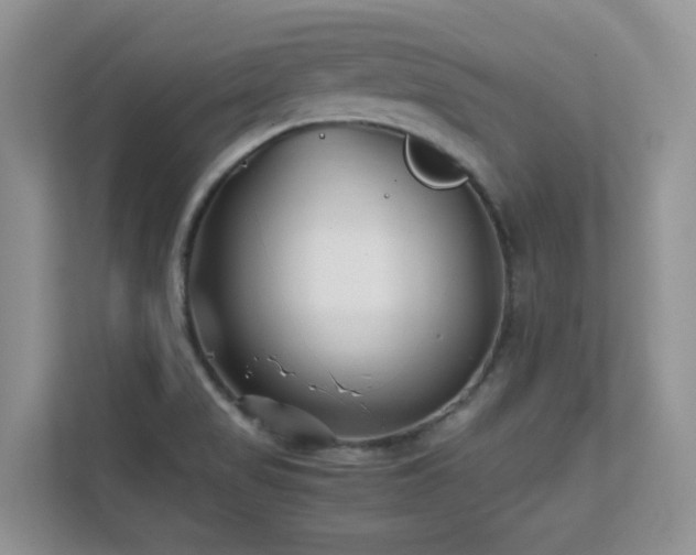 X0000112171517200908071148