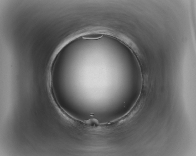 X0000112171520200908071148