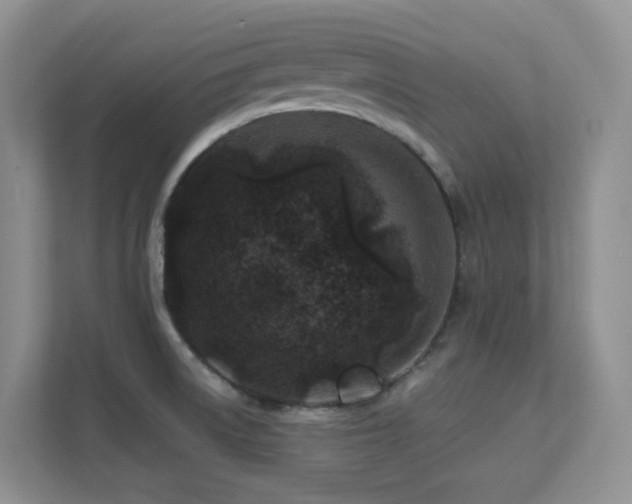 X0000112171522200908071148