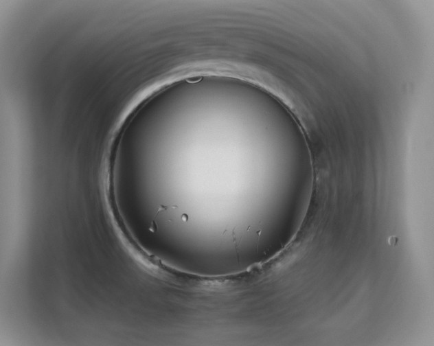 X0000112171523200908071148