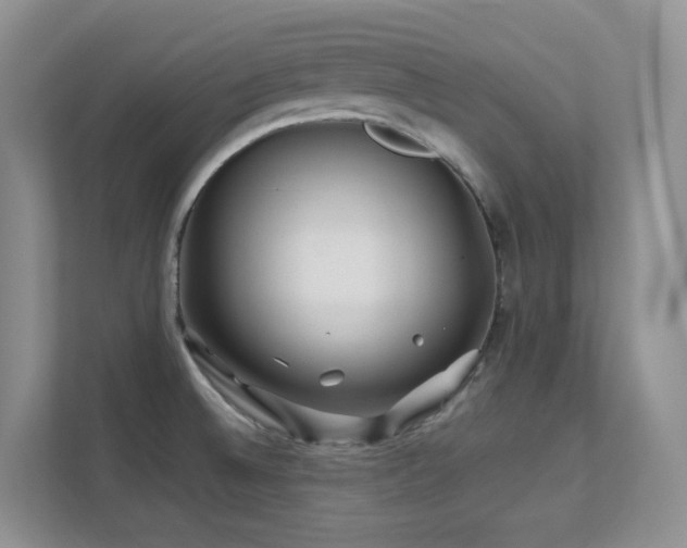 X0000112171524200908071148