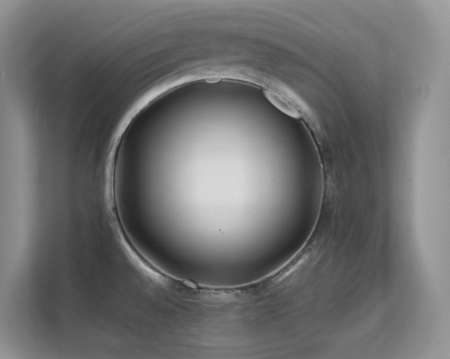 X0000112171528200908071148