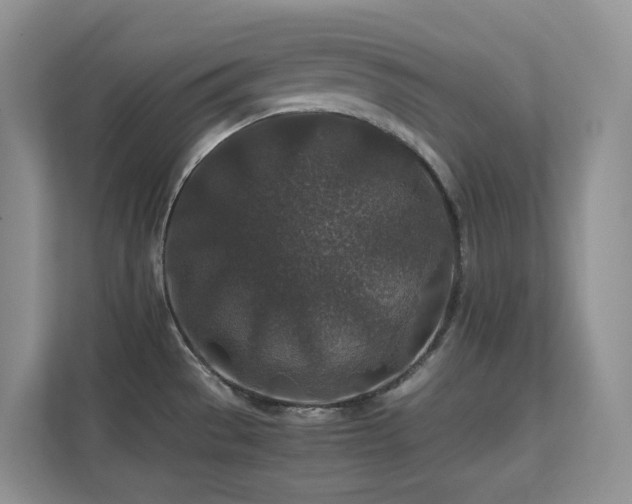 X0000112171529200908071148