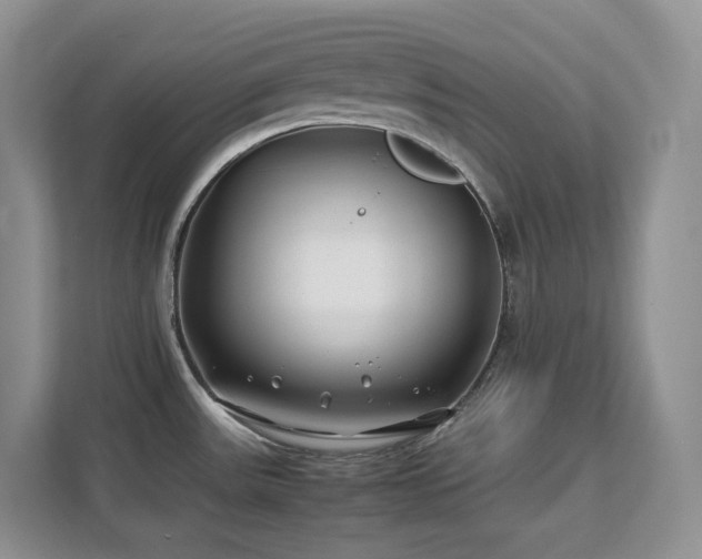 X0000112171531200908071148